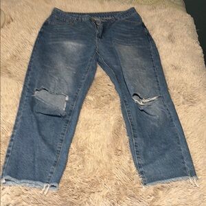 Stylish Blue Distressed Women's Jeans